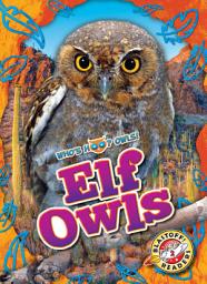 Icon image Elf Owls