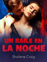 Icon image Un baile en la noche - un relato corto erótico