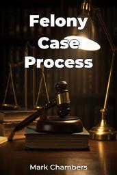 Icon image Felony Case Process