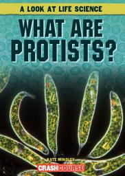 Icon image What Are Protists?
