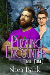 Icon image Puzzling Encounter: Mystic Pines 3