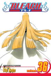 Icon image Bleach: Turn Back the Pendulum