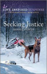 Icon image Seeking Justice