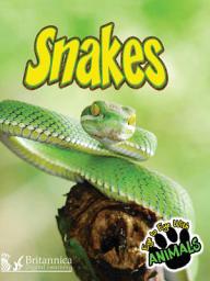 Icon image Snakes