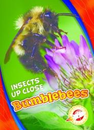 Icon image Bumblebees