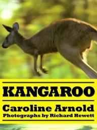Icon image Kangaroo