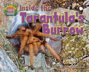 Icon image Inside the Tarantula’s Burrow