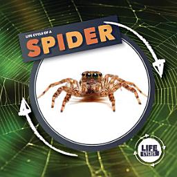 Icon image Life Cycle of a Spider