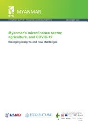 Icon image Myanmar's microfinance sector, agriculture, and COVID-19: Emerging insights and new challenges