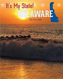 Icon image Delaware: Third Edition