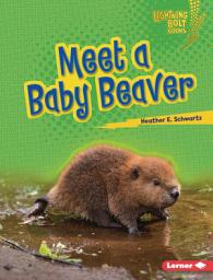 Icon image Meet a Baby Beaver