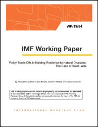 Icon image Policy Trade-Offs in Building Resilience to Natural Disasters: The Case of St. Lucia