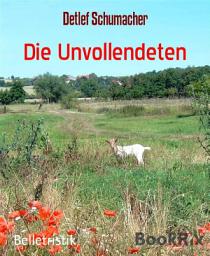 Icon image Die Unvollendeten