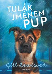 Icon image Tulák jménem Pup
