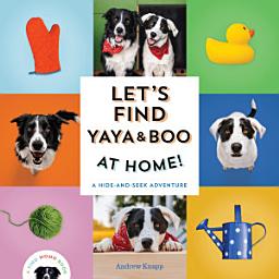 Icon image Let's Find Yaya and Boo at Home!: A Hide-and-Seek Adventure