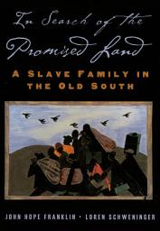 Icon image In Search of the Promised Land: A Slave Family in the Old South