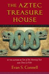 Icon image Aztec Treasure House