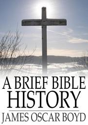 Icon image A Brief Bible History: A Survey of the Old and New Testaments
