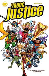 Icon image Young Justice Book Six