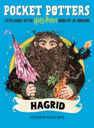 Icon image Pocket Potters: Little Guides to the Harry Potter Books