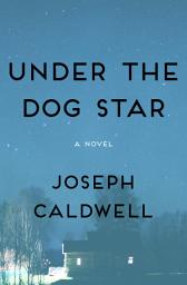 Icon image Under the Dog Star: A Novel