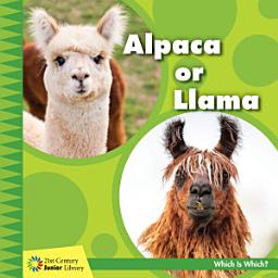 Icon image Alpaca or Llama