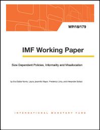 Icon image Size Dependent Policies, Informality and Misallocation
