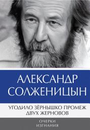 Icon image Угодило зёрнышко промеж двух жерновов. Очерки изгнания: Том 2. Новое издание