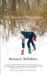 Icon image The Warmest December: A Novel