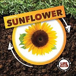 Icon image Life Cycle of a Sunflower