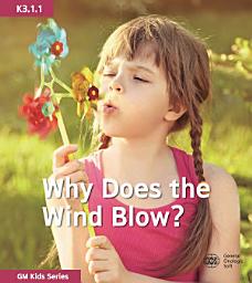 Icon image Why Does the Wind Blow?