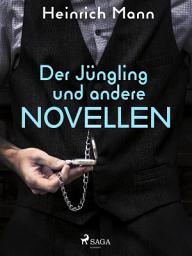 Icon image Der Jüngling und andere Novellen