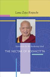 Icon image The Nectar of Bodhicitta: Motivations for the Awakening Mind