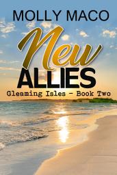 Icon image New Allies: A Small-Town Beach Romance