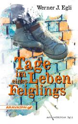 Icon image Tage im Leben eines Feiglings