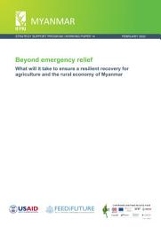 Icon image Beyond emergency relief: What will it take to ensure a resilient recovery for agriculture and the rural economy of Myanmar