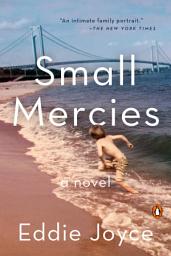 Icon image Small Mercies: A Novel