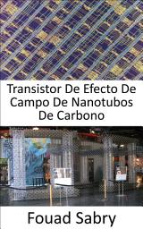 Icon image Transistor De Efecto De Campo De Nanotubos De Carbono: Hacer la transición del centro de investigación al piso de producción