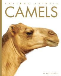 Icon image Camels