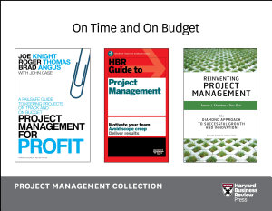 Icon image On Time and On Budget: Project Management Collection (4 Books)