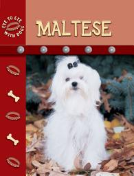 Icon image Maltese