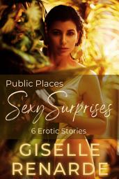 Icon image Public Places Sexy Surprises: 6 Erotic Stories
