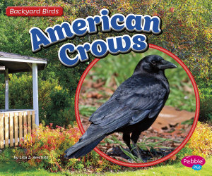 Icon image American Crows