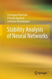 Icon image Stability Analysis of Neural Networks