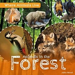 Icon image Animals in the Forest