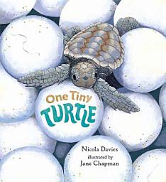 Icon image One Tiny Turtle