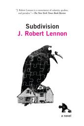 Icon image Subdivision: A Novel