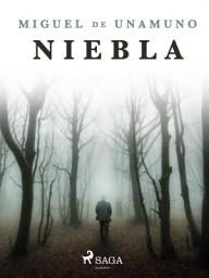 Icon image Niebla