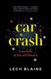 Icon image Car Crash: A Memoir of the Aftermath