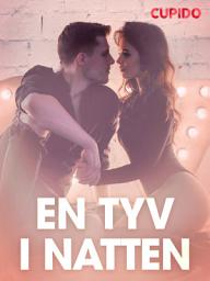 Icon image En tyv i natten – erotiske noveller